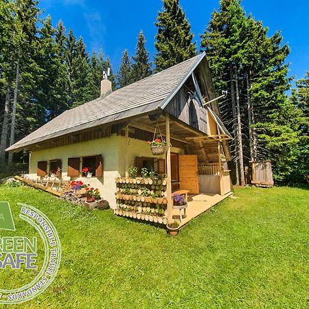Mountain Eco Chalet Konjska Dolina On 1400 M Asl -Near Pokljuka Srednja Vas v Bohinju ภายนอก รูปภาพ