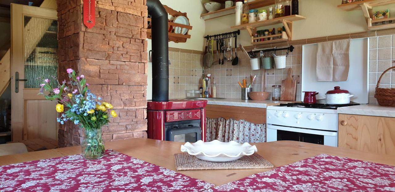 Mountain Eco Chalet Konjska Dolina On 1400 M Asl -Near Pokljuka Srednja Vas v Bohinju ภายนอก รูปภาพ