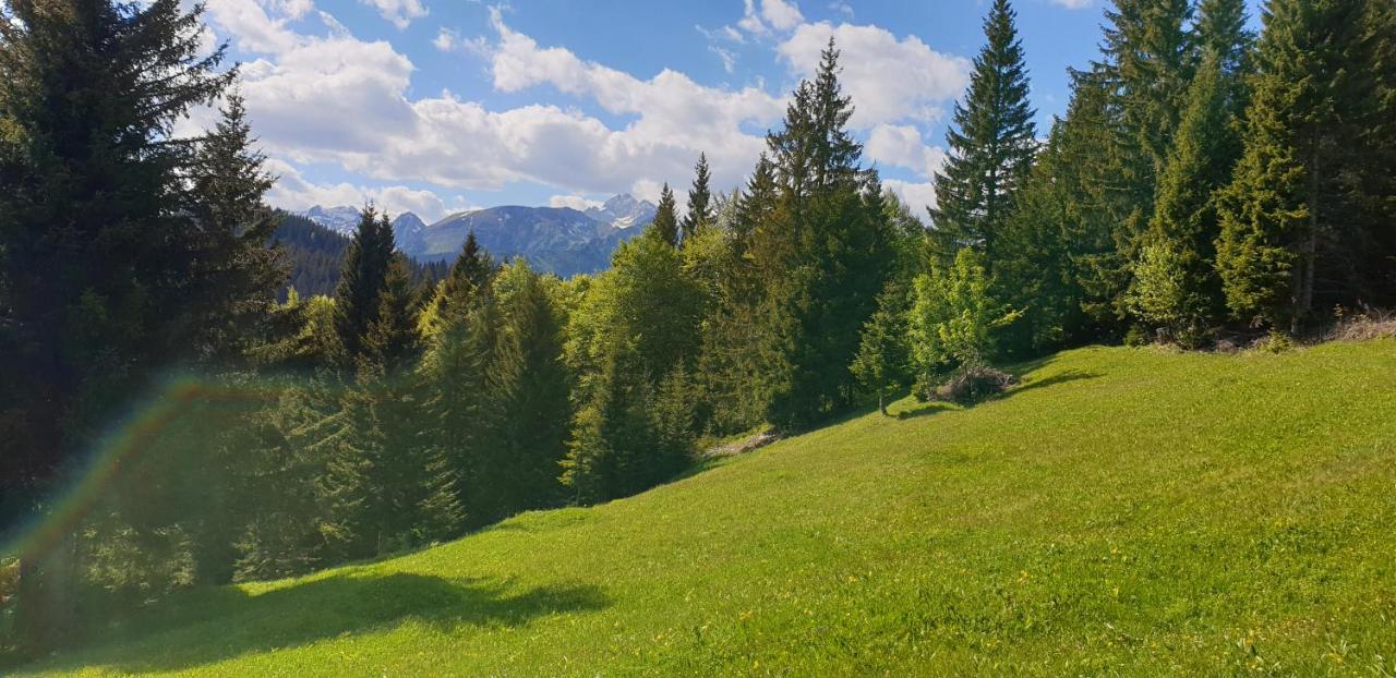 Mountain Eco Chalet Konjska Dolina On 1400 M Asl -Near Pokljuka Srednja Vas v Bohinju ภายนอก รูปภาพ
