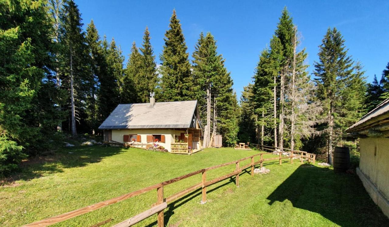 Mountain Eco Chalet Konjska Dolina On 1400 M Asl -Near Pokljuka Srednja Vas v Bohinju ภายนอก รูปภาพ