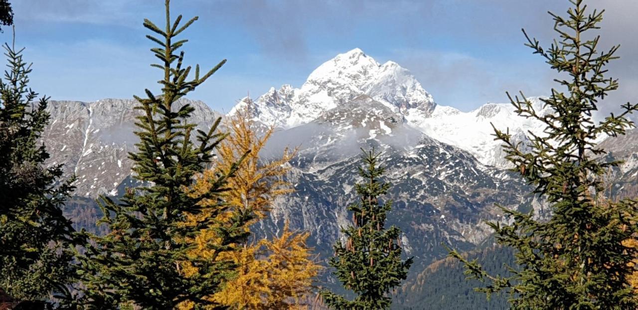 Mountain Eco Chalet Konjska Dolina On 1400 M Asl -Near Pokljuka Srednja Vas v Bohinju ภายนอก รูปภาพ