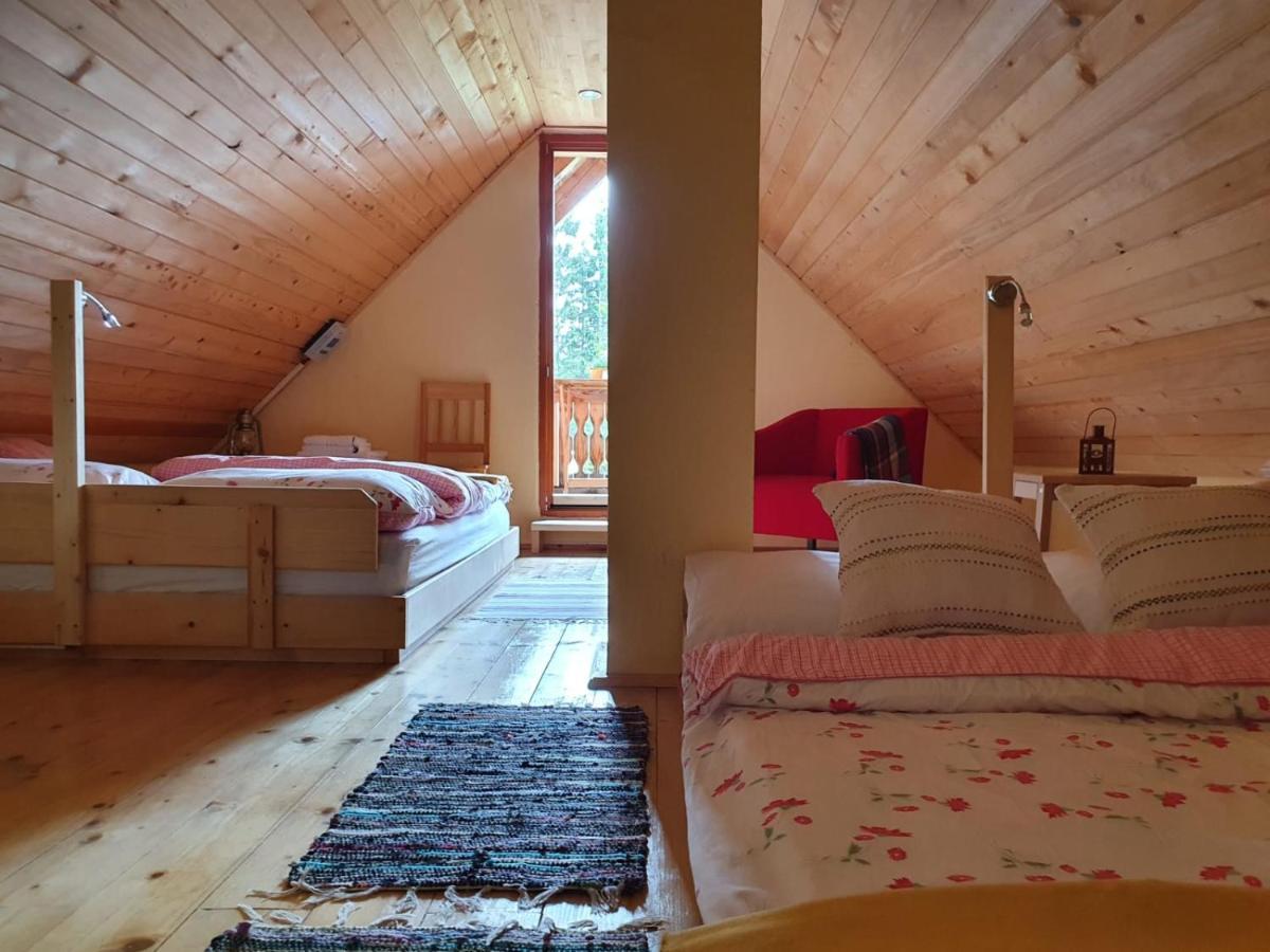 Mountain Eco Chalet Konjska Dolina On 1400 M Asl -Near Pokljuka Srednja Vas v Bohinju ภายนอก รูปภาพ