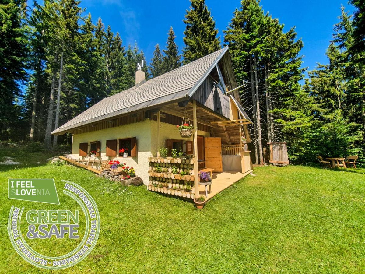 Mountain Eco Chalet Konjska Dolina On 1400 M Asl -Near Pokljuka Srednja Vas v Bohinju ภายนอก รูปภาพ